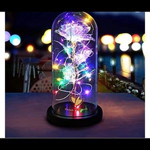 Beauty and the Beast Galaxy set flower